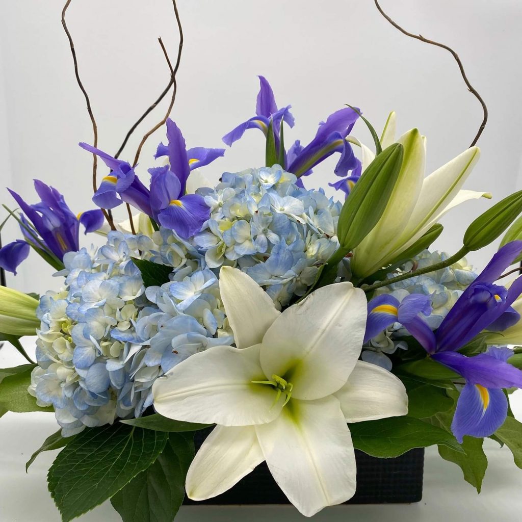 Listing cover image