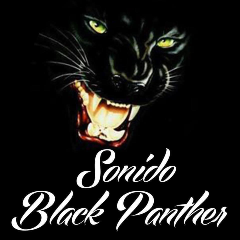 Pantera Logo Vector Del Rugido Jaguar Ilustración del Vector - Ilustración  de potencia, historieta: 140451050, image size:960x960