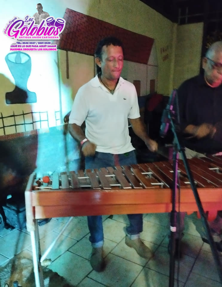 Marimba Orquesta Los Golobios superola