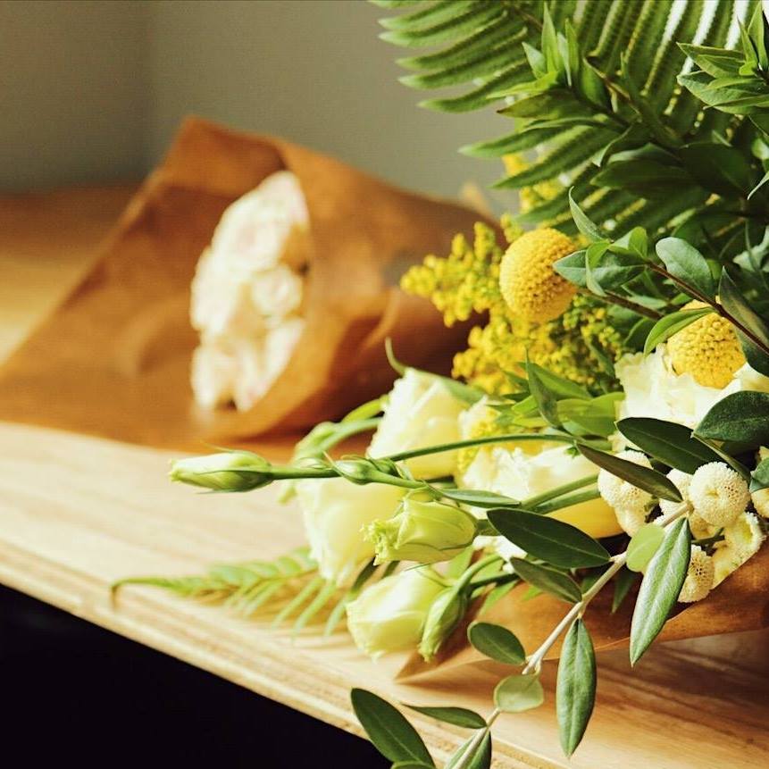 Coach House Plants superola