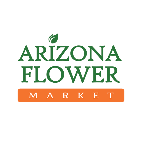 Arizona Flower Market Superola