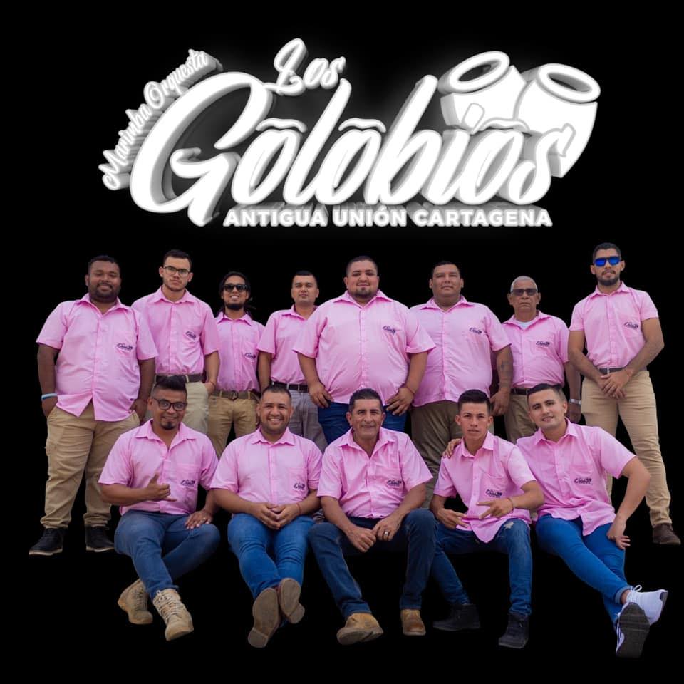 Marimba Orquesta Los Golobios superola